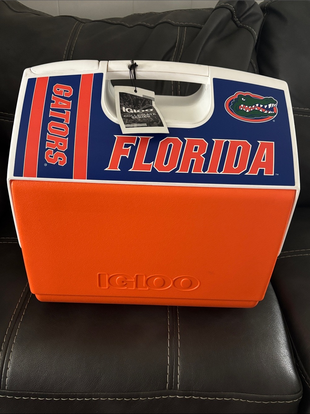 Igloo Florida Gators Orange and Blue Cooler with Team Logo